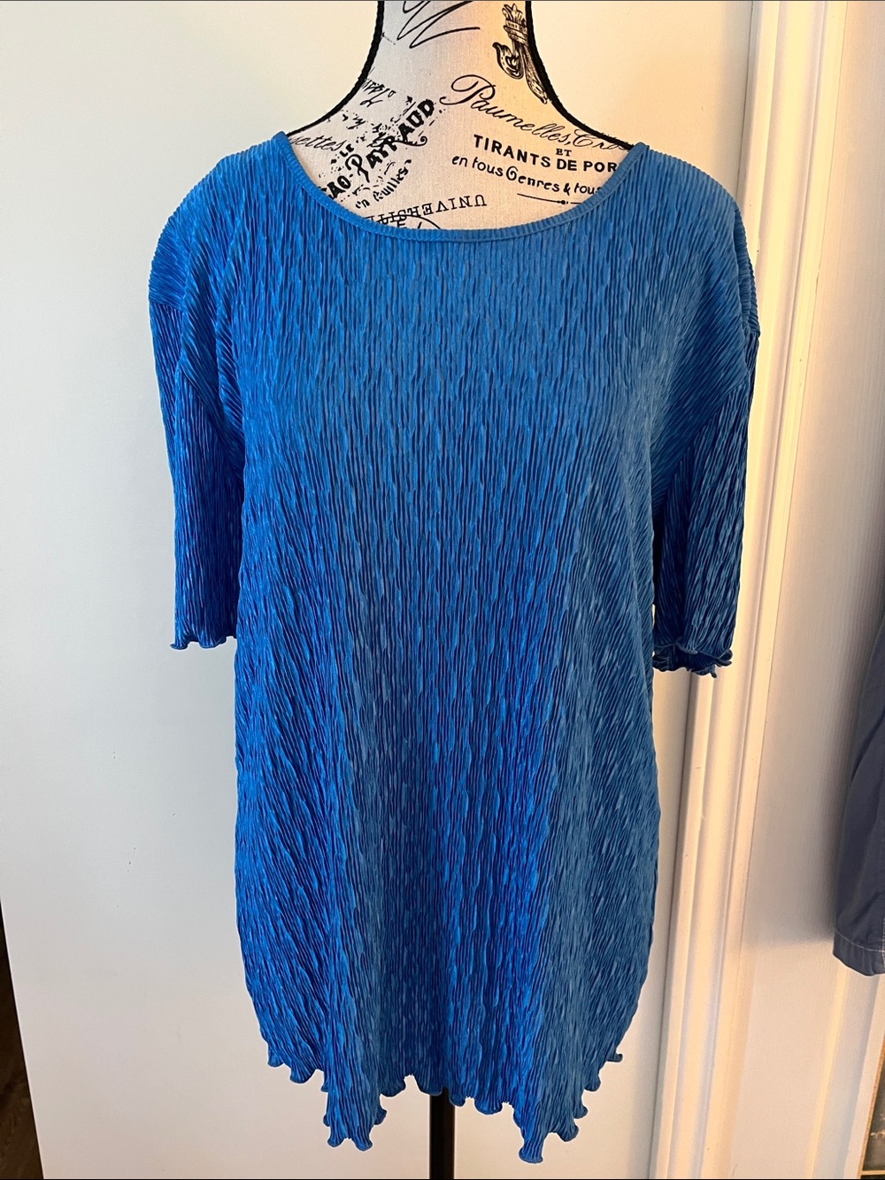 😃Blue Crinkle Short-Sleeve Blouse